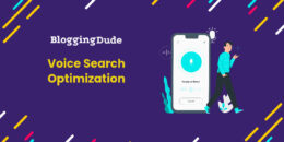 vso(voice search optimization)