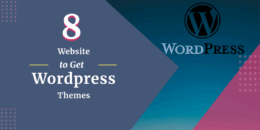 wordpress themes